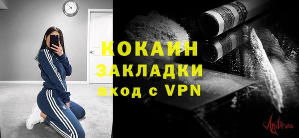 стафф Алексин