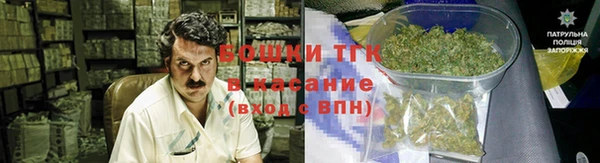 стафф Алексин