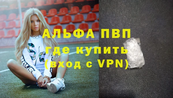 стафф Алексин