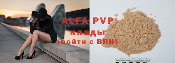 стафф Алексин
