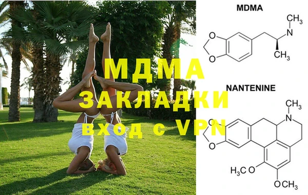 стафф Алексин