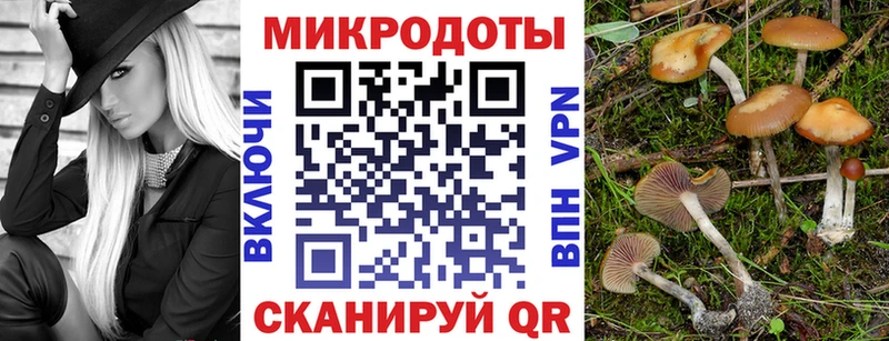 Псилоцибиновые грибы Psilocybine cubensis  Белебей 